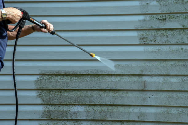 Best Pressure Washing Patio  in Angleton, TX