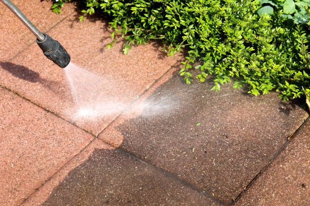 Best Best Pressure Washing Companies  in Angleton, TX