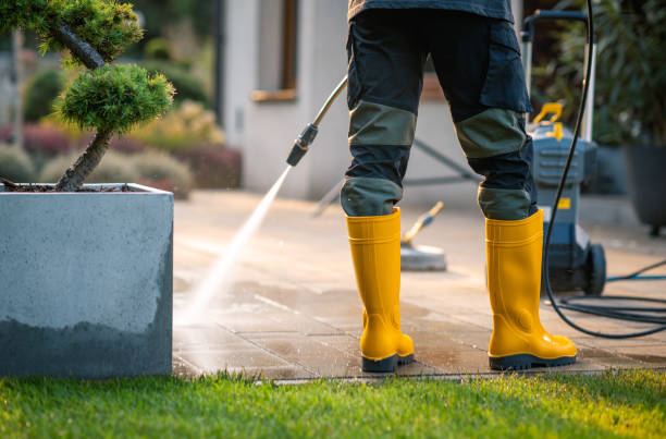 Best Affordable Pressure Washing  in Angleton, TX